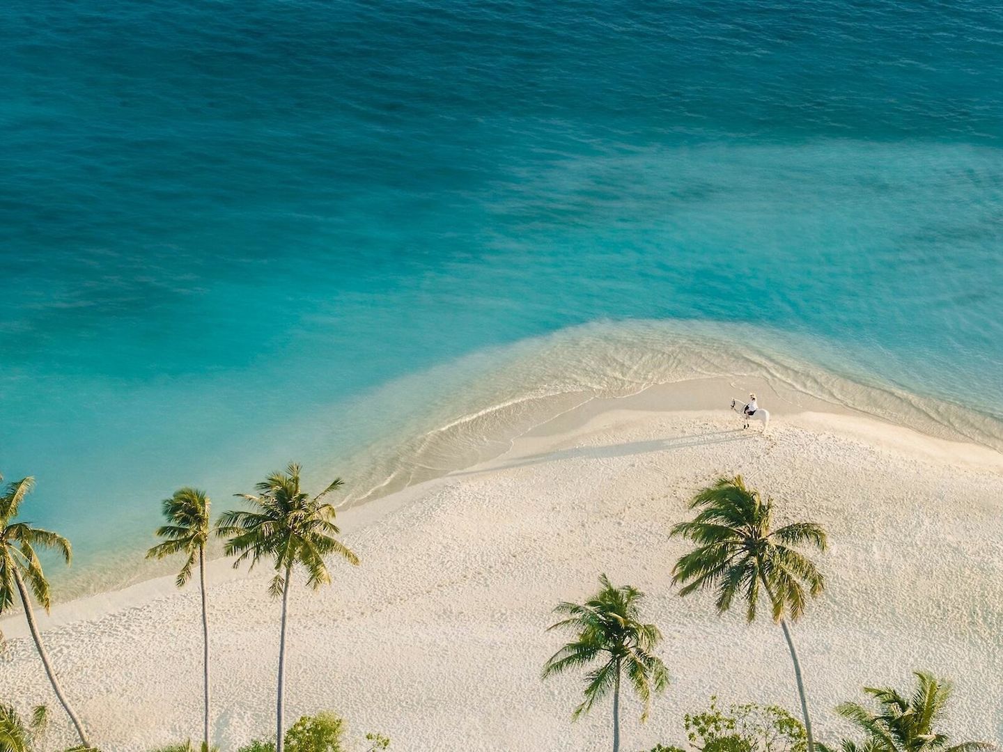 Siyam World Maldives – Bild 3 (1)